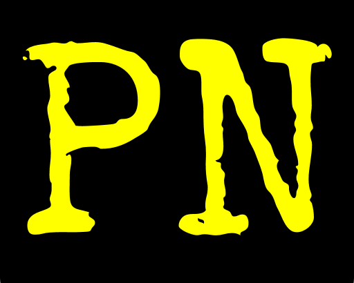 PuneNow Logo