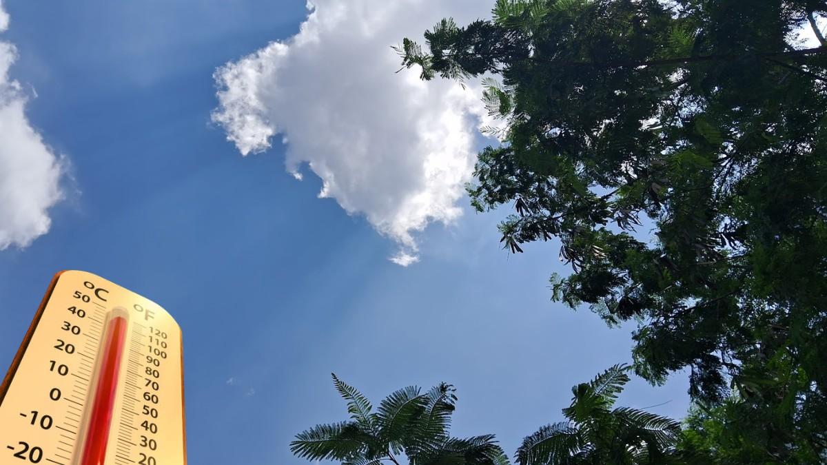 Pune Weather Update Winter Retreats Mild Chill To Persist PuneNow