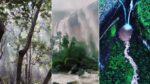 Into the Mist: Discover the Secret Forest Trek That Comes Alive in the Monsoon