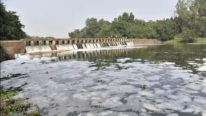 Pavana River Pollution