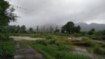 Tamhini Ghat Crosses 9,000 mm Rainfall for Third Monsoon Season in a Row