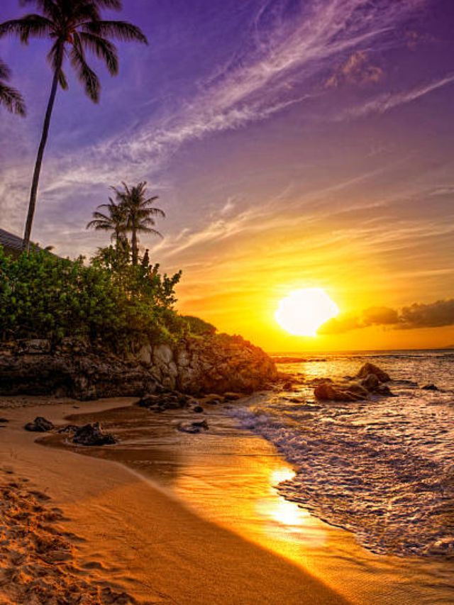 9 Stunning Coastal Gems in India: Beyond Goa’s Shores