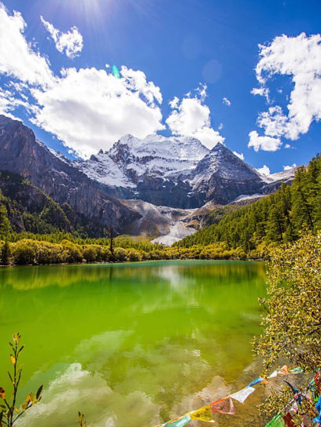 Foreign Vibes in India: 8 Incredible Destinations to Explore