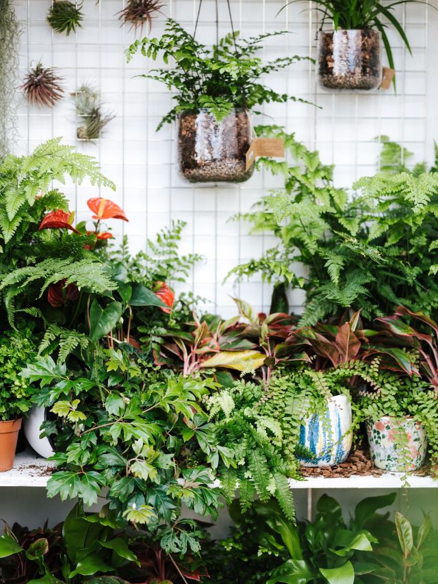 10 Ways You Can Turn Your Home into a Tropical Paradise
