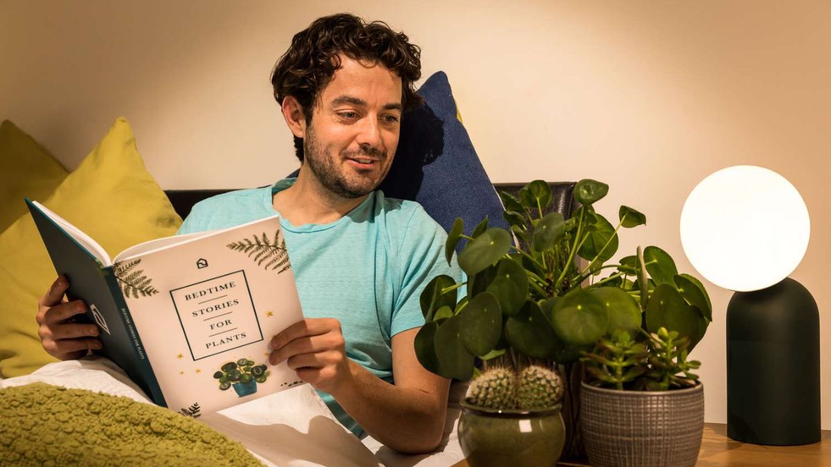Emotional Relationships with Indoor Plants