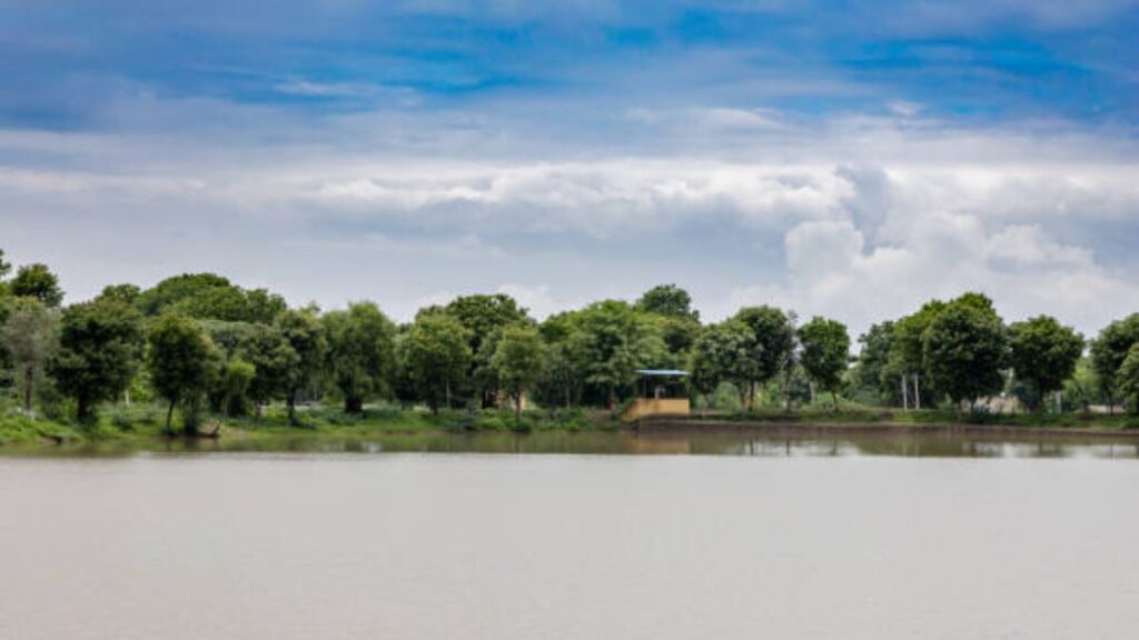 Maharashtra rainfall forecast