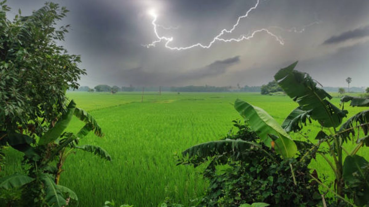 Maharashtra Weather Alert: 31 Districts Under Orange or Yellow Alert for Rough Weather, Only 4 Remain in the Clear