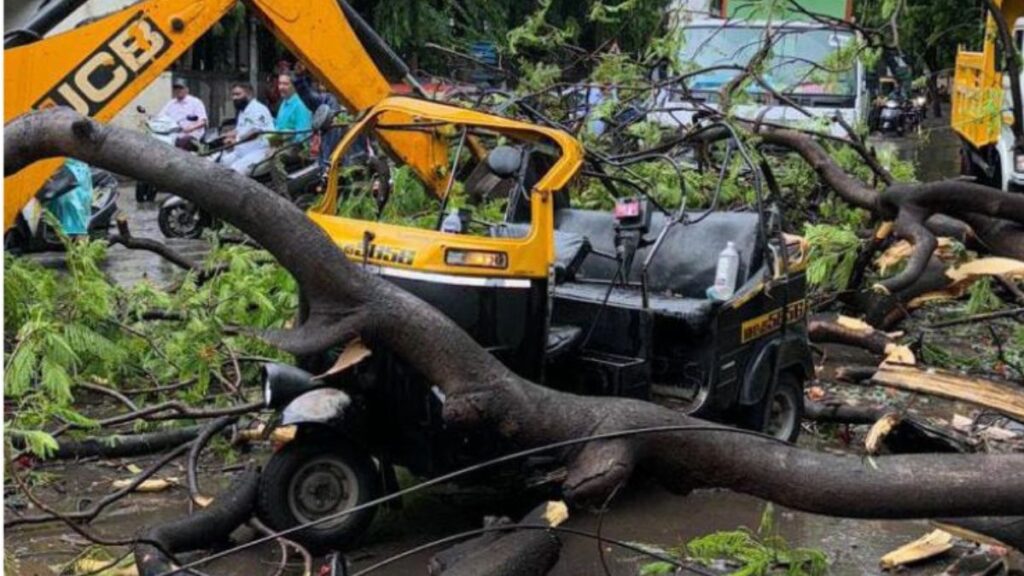 Pune: Elderly Woman Dies as Tree Falls on Autorickshaw Near Neelayam Talkies