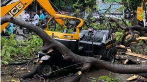 Pune: Elderly Woman Dies as Tree Falls on Autorickshaw Near Neelayam Talkies