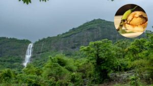 Pune: Tamhini Ghat Transforms into Monsoon Wonderland in May Due to Unseasonal Rains