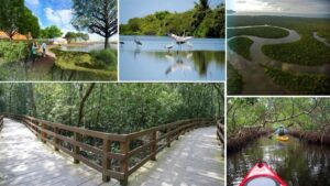 Gorai Mangrove Park
