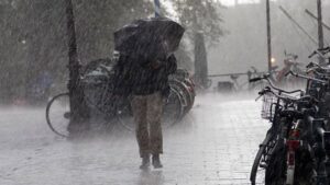 Maharashtra Weather Update: Yellow Alerts Issued for Multiple Districts; Pune to See Surge in Rainfall from June 5 to 8