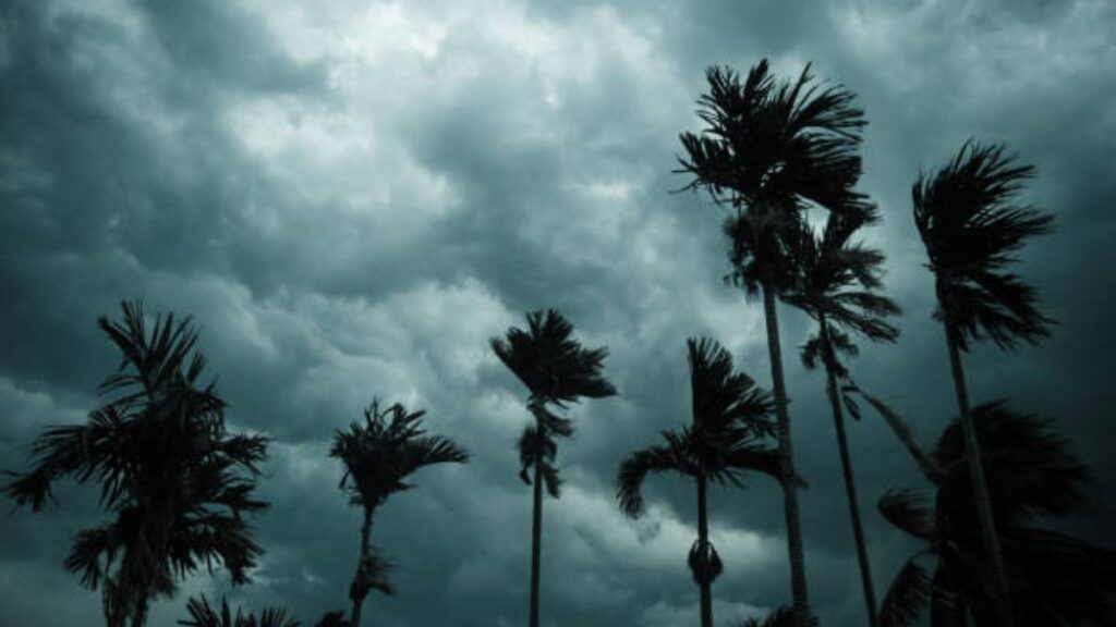 Maharashtra Weather Alert: IMD Issues Orange & Yellow Alerts for Heavy Rains (June 12-19) - District-Wise Forecast