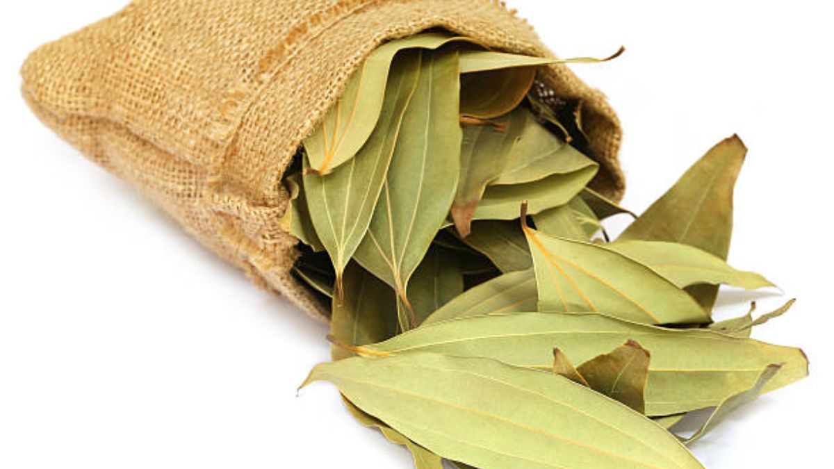 Natural pest repellent with bay leaves