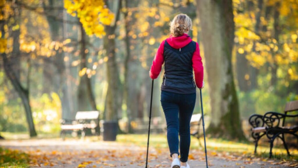 Discover Nordic Walking: The Harvard-Backed Fitness Trend to Shrink Waistline & Build Strength 1 Nordic Walking