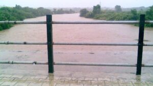 PMC disaster management
