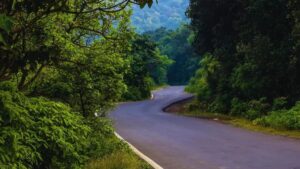 Tamhini Ghat: Monsoon’s Magical Gateway to Waterfalls, Mist & Adventure in the Sahyadris