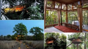 Treehouse Resorts for Monsoon Holiday