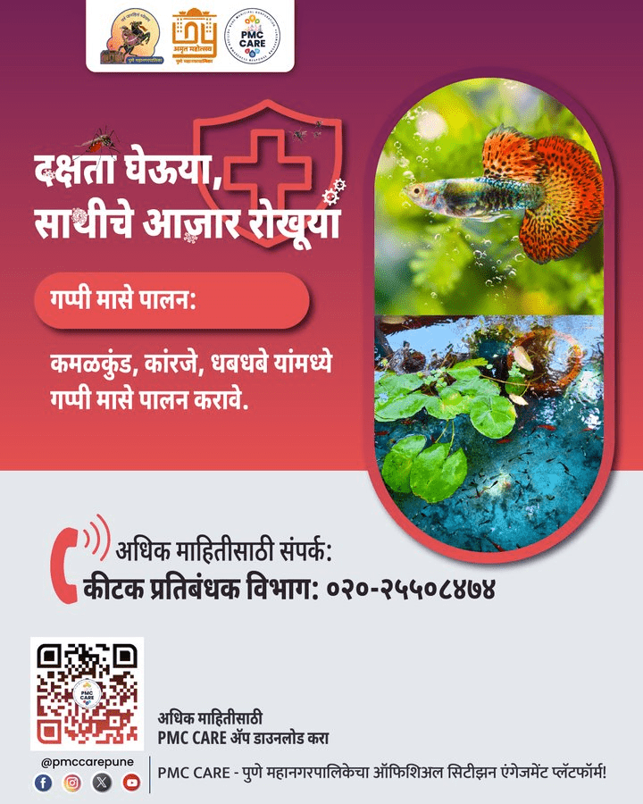 Pune: PMC Advocates Breeding Guppy Fish in Flower Pots, Fountains and Lotus Ponds at Home to Combat Dengue and Malaria