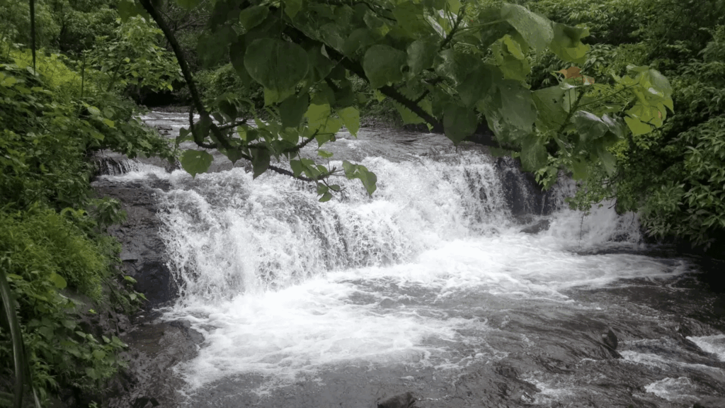 Tamhini Ghat: Monsoon’s Magical Gateway to Waterfalls, Mist & Adventure in the Sahyadris