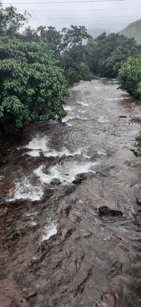 Tamhini Ghat: Monsoon’s Magical Gateway to Waterfalls, Mist & Adventure in the Sahyadris