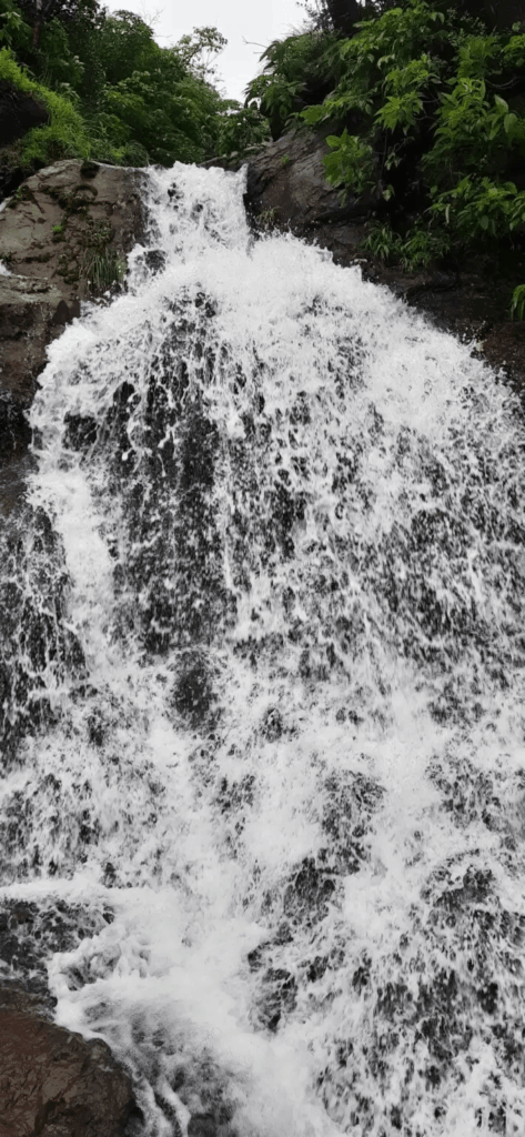 Tamhini Ghat: Monsoon’s Magical Gateway to Waterfalls, Mist & Adventure in the Sahyadris