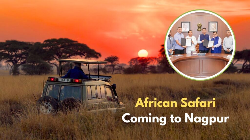 African Safari Nagpur Gorewada Zoo