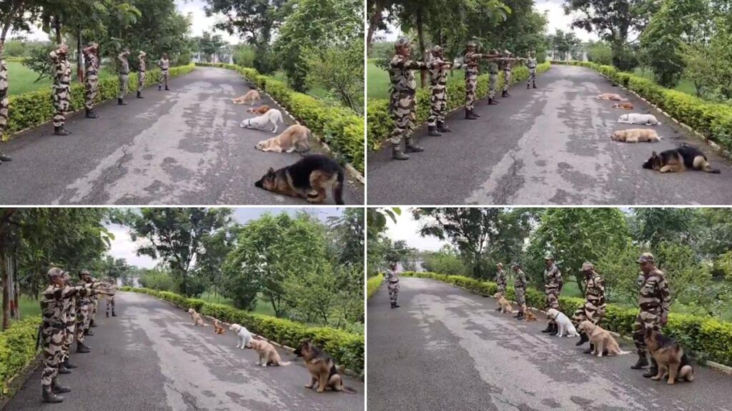CISF Dog Squad