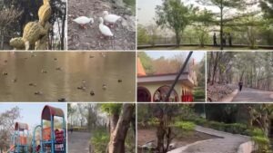 Durga Tekdi Nigidi Pune nature park