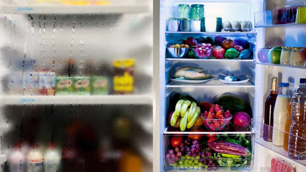 Monsoon Fridge Care: A Bowl of This Simple Kitchen Ingredient Keeps Your Fridge Fresh and Germ Free 1 Monsoon Fridge Care