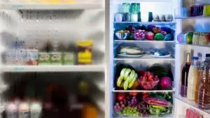 Monsoon Fridge Care