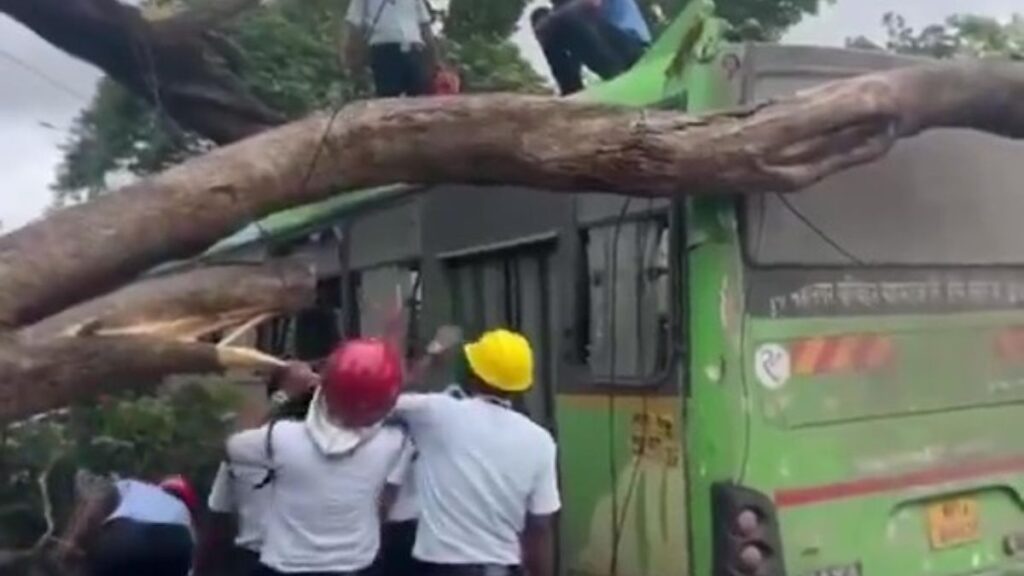 Pune: Massive Tree Collapses on PMPML Bus in Pimpri-Chinchwad; 7 Injured, Traffic Chaos Ensues 1 PMPML bus accident Pimpri-Chinchwad