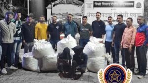 Pimpri Chinchwad cannabis seizure