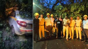Tree falls on car in Pune driver rescued