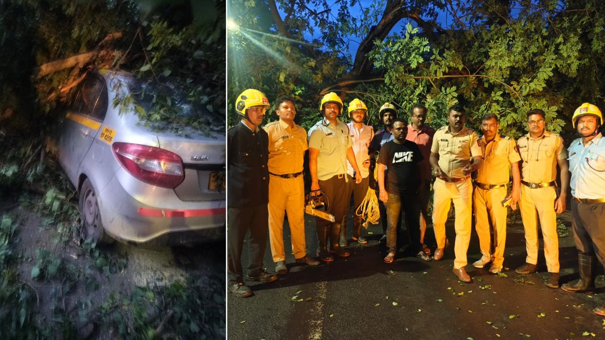 Tree falls on car in Pune driver rescued