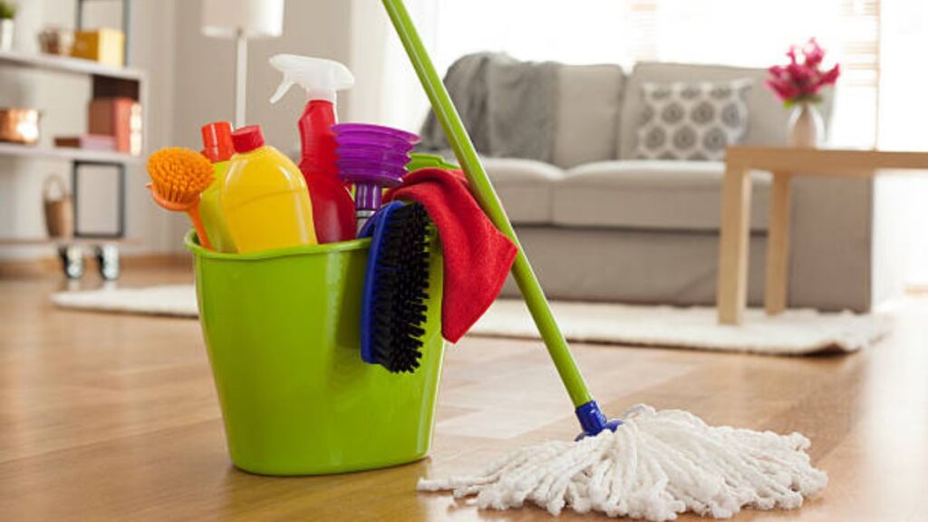 natural mop water solutions for pest control
