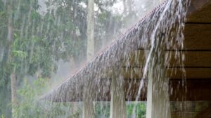 Maharashtra rainfall forecast