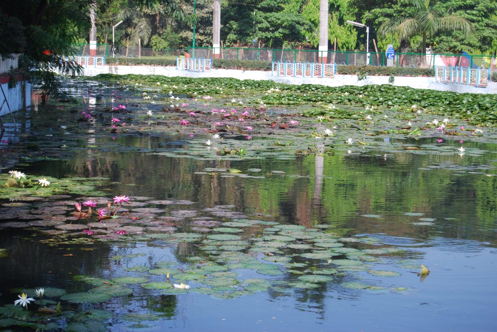 Best Places to Visit in Pune: Forts, Palaces, and Scenic Getaways 2 Peshwe Park Lake