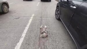 Skeleton found at Pune Shastrinagar Chowk