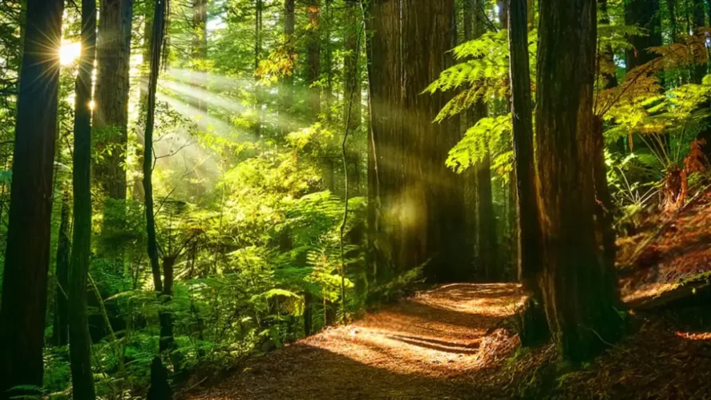 Hill Station Near Mumbai