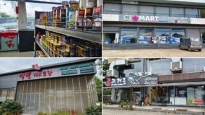 India's Mini Korea