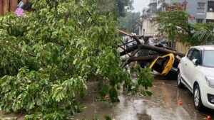 Pune rains Tree Collapses