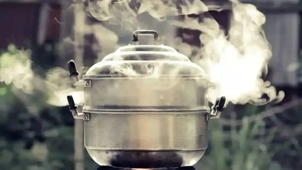 Steamed Indian dishes