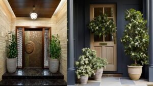 Vastu plants to avoid