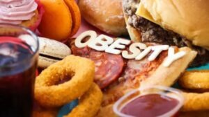 fight obesity with diet