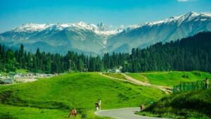 Romantic Honeymoon Destinations In India