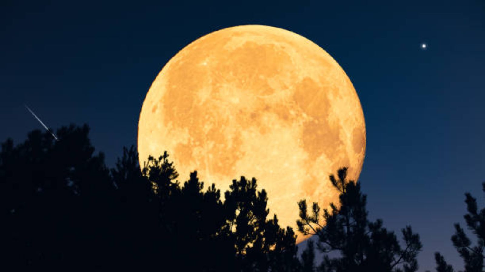 Biggest and Brightest Supermoon of 2025 to Illuminate the Night Sky ...