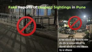 Fake Leopard Sightings in Pune Go Viral; Officials Urge Citizens To Stop Sharing AI-Generated Images