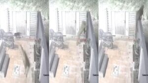 Leopard Spotted Near Hinjawadi IT Park - Viral Video Sparks Panic