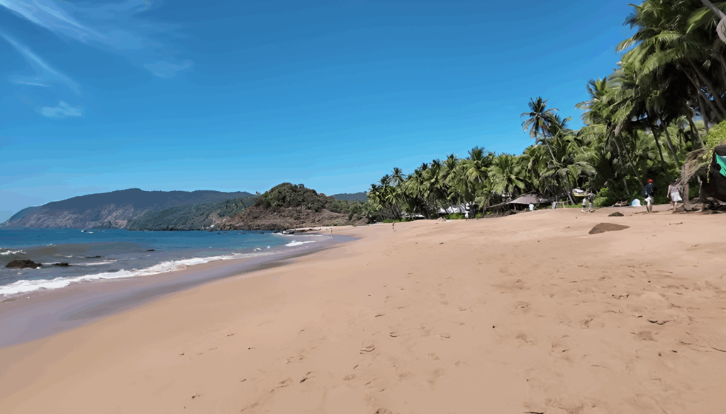 Explore South Goa: A Tranquil Paradise for Beach Lovers, Ocean Views and the Real Goa